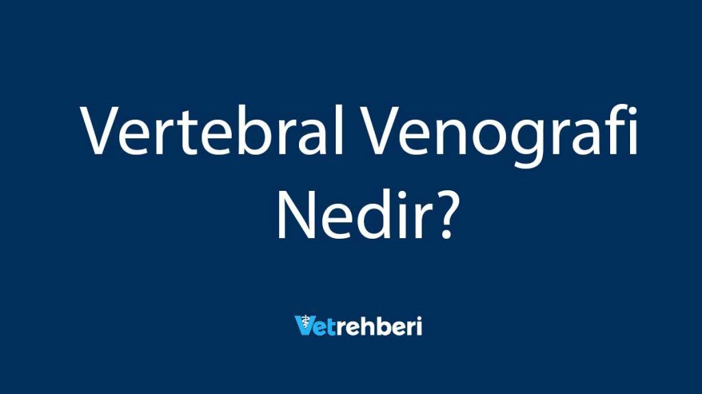 Vertebral Venografi Nedir?