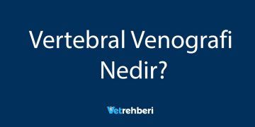 Vertebral Venografi Nedir?