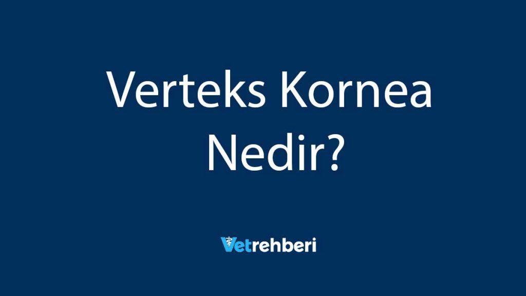 Verteks Kornea Nedir?