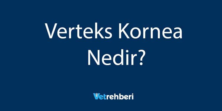 Verteks Kornea Nedir?