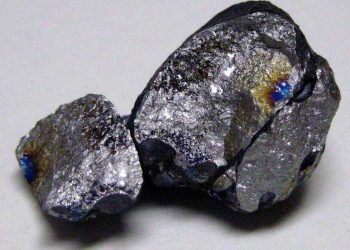 Vanadyum Eksikliği ve Zehirlenmesi (V)