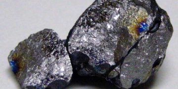 Vanadyum Eksikliği ve Zehirlenmesi (V)