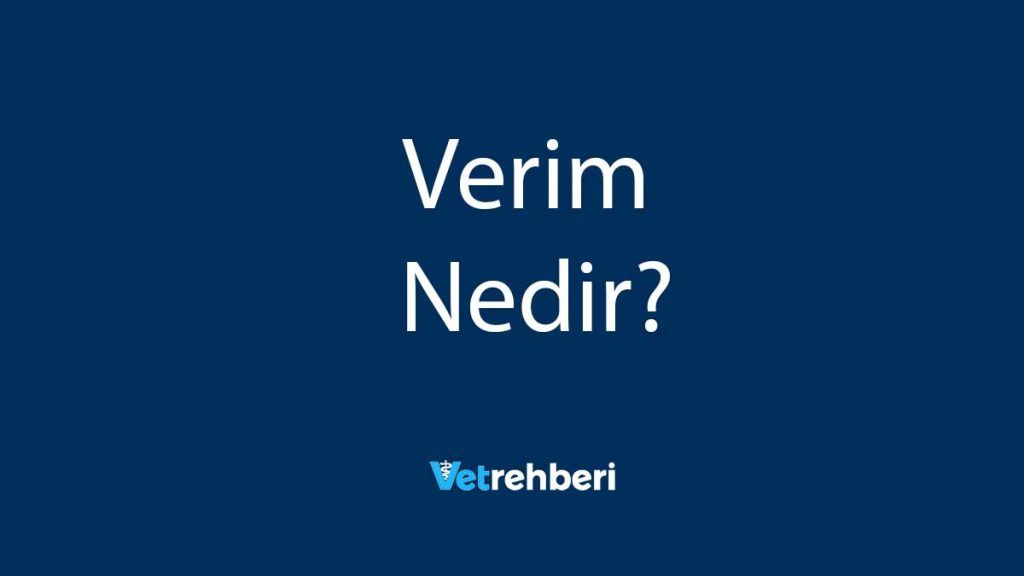 Verim Nedir?