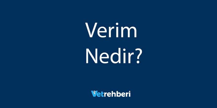 Verim Nedir?