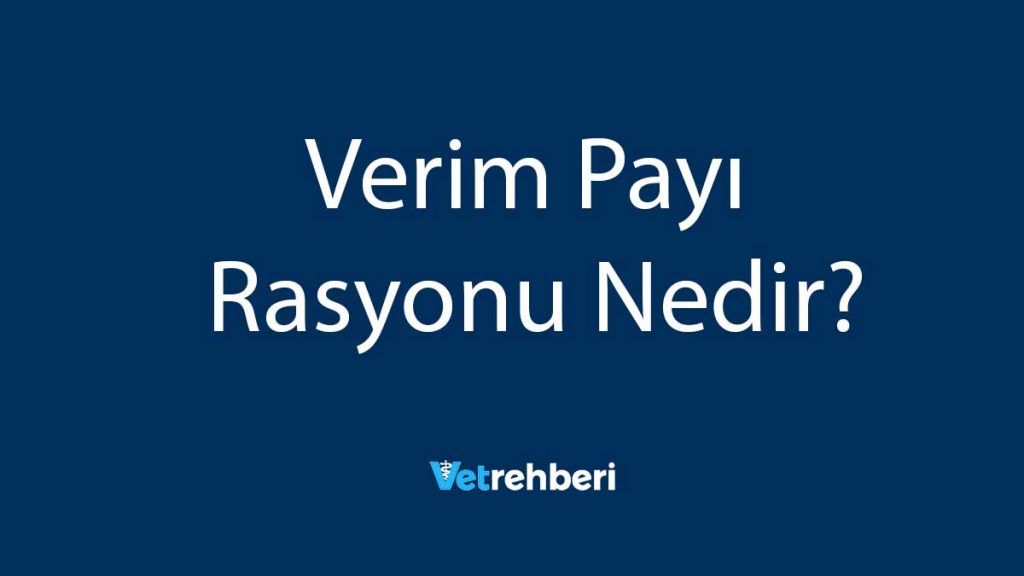 Verim Payı Rasyonu Nedir?