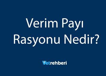Verim Payı Rasyonu Nedir?