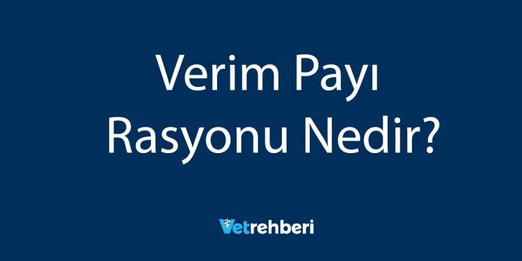 Verim Payı Rasyonu Nedir?