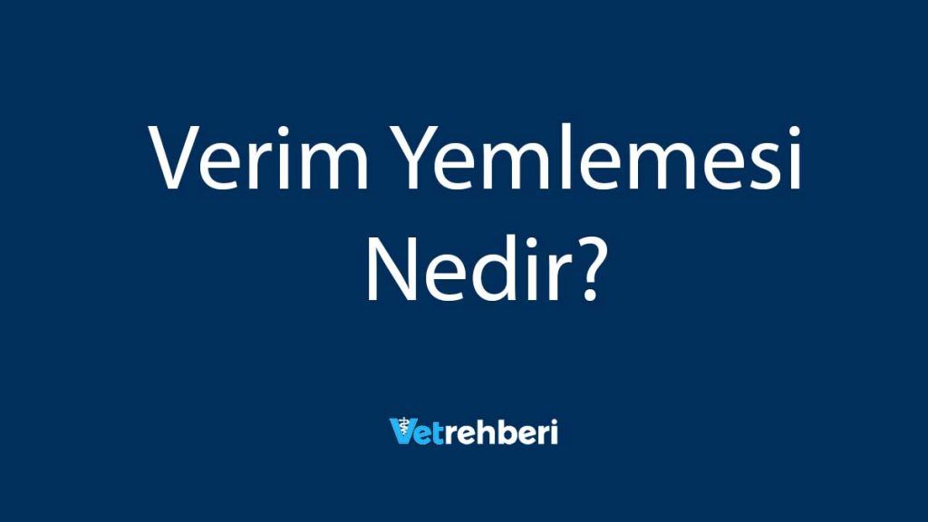 Verim Yemlemesi Nedir?