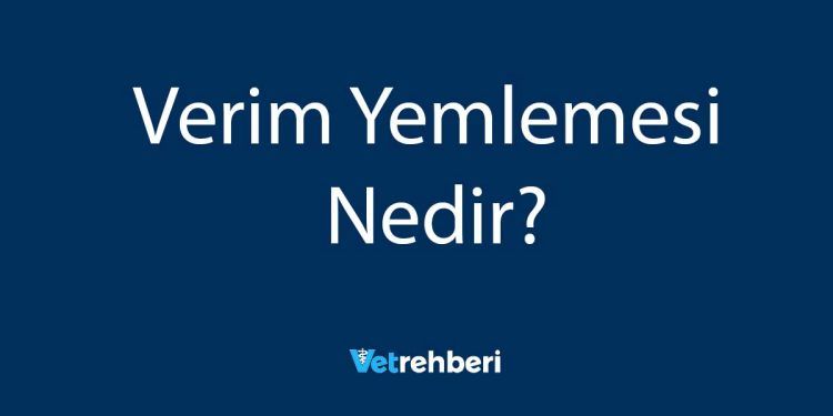 Verim Yemlemesi Nedir?