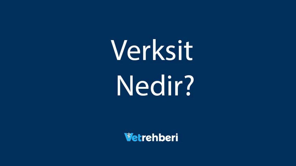 Verksit Nedir?