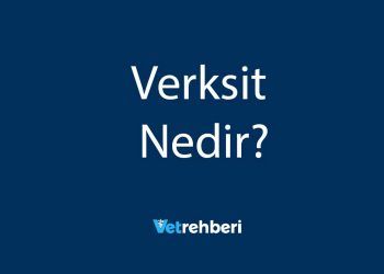 Verksit Nedir?