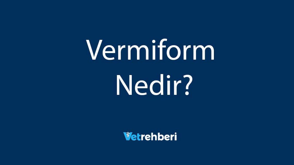 Vermiform Nedir?