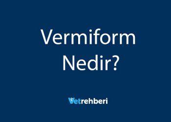 Vermiform Nedir?