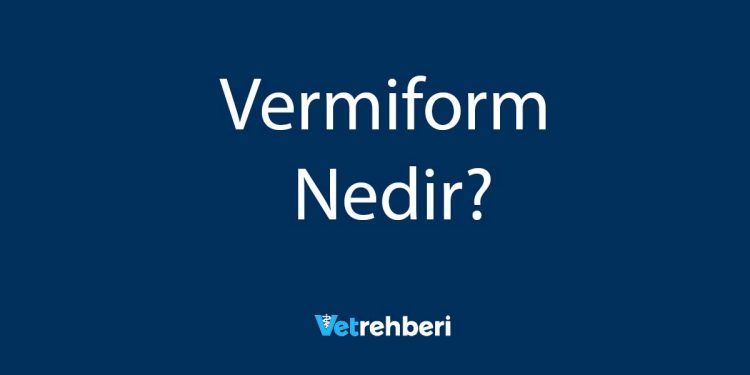 Vermiform Nedir?