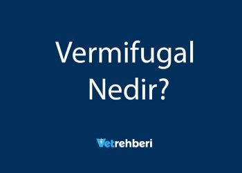Vermifugal Nedir?
