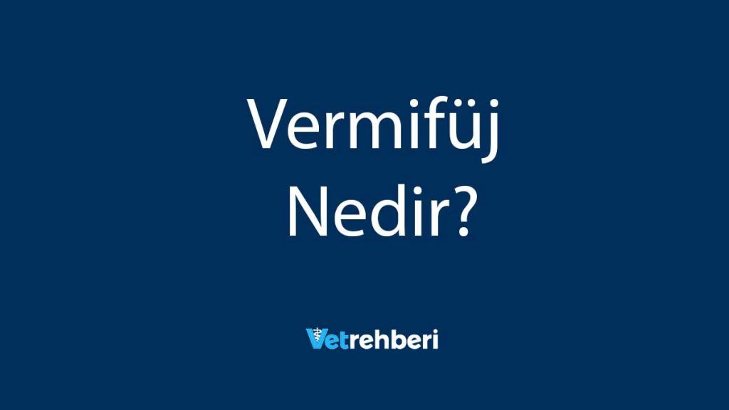 Vermifüj Nedir?