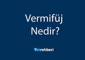 Vermifüj Nedir?