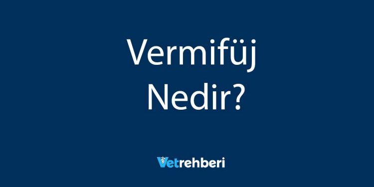 Vermifüj Nedir?