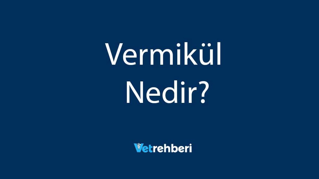 Vermikül Nedir?