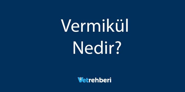 Vermikül Nedir?