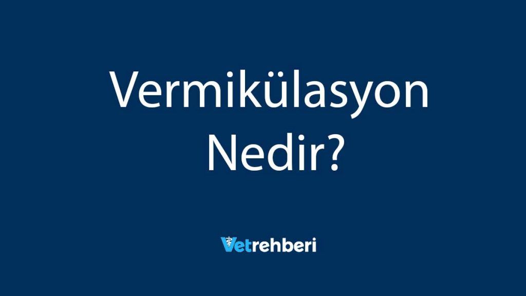 Vermikülasyon Nedir?