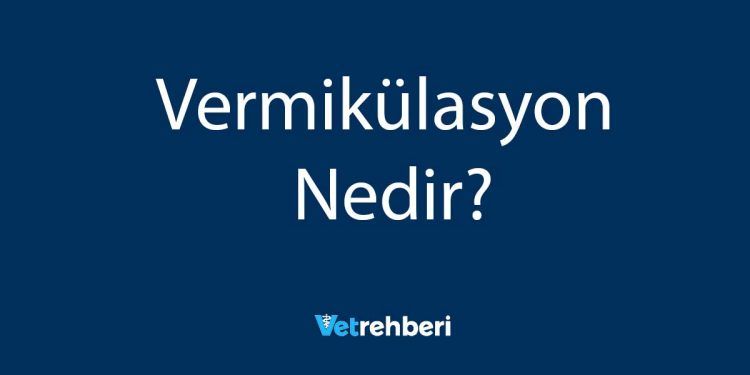 Vermikülasyon Nedir?