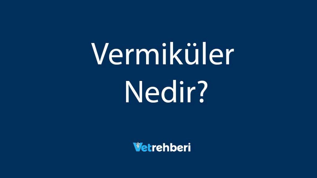 Vermiküler Nedir?