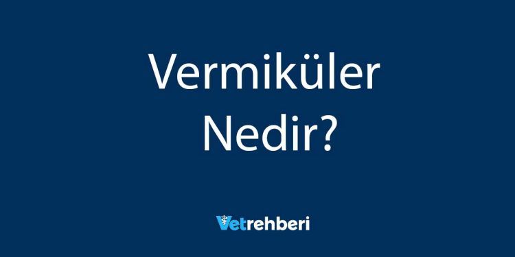 Vermiküler Nedir?