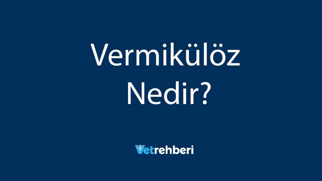 Vermikülöz Nedir?