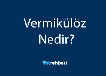 Vermikülöz Nedir?