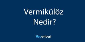 Vermikülöz Nedir?