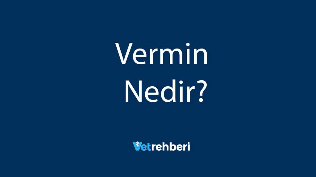 Vermin Nedir?