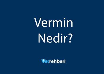 Vermin Nedir?