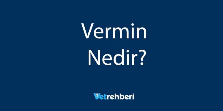 Vermin Nedir?