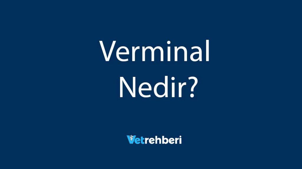 Verminal Nedir?