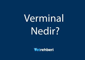 Verminal Nedir?