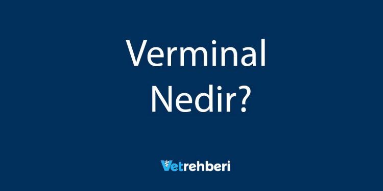 Verminal Nedir?