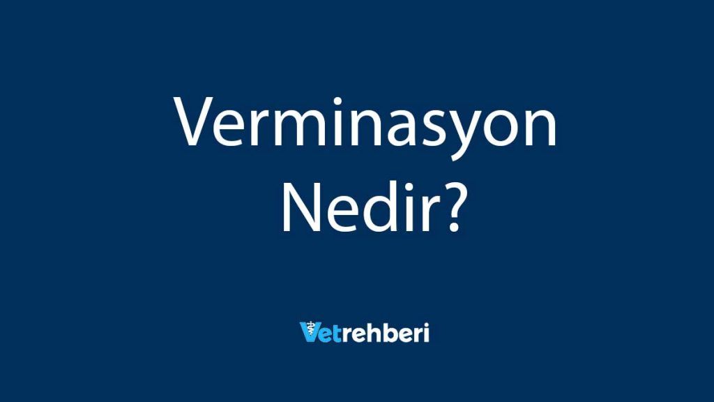 Verminasyon Nedir?