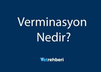 Verminasyon Nedir?