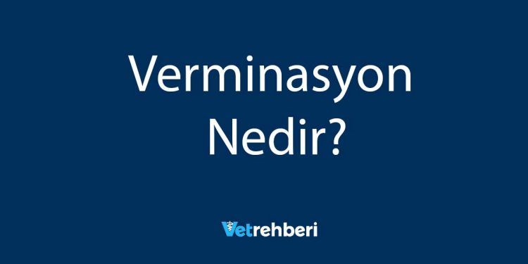 Verminasyon Nedir?