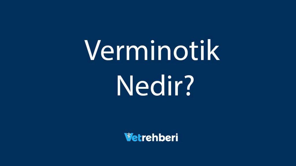 Verminotik Nedir?