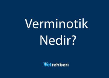 Verminotik Nedir?