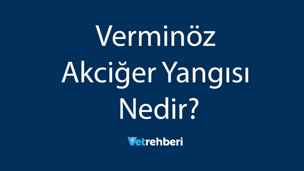 Verminöz Akciğer Yangısı Nedir?