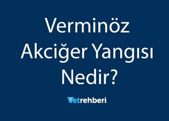 Verminöz Akciğer Yangısı Nedir?