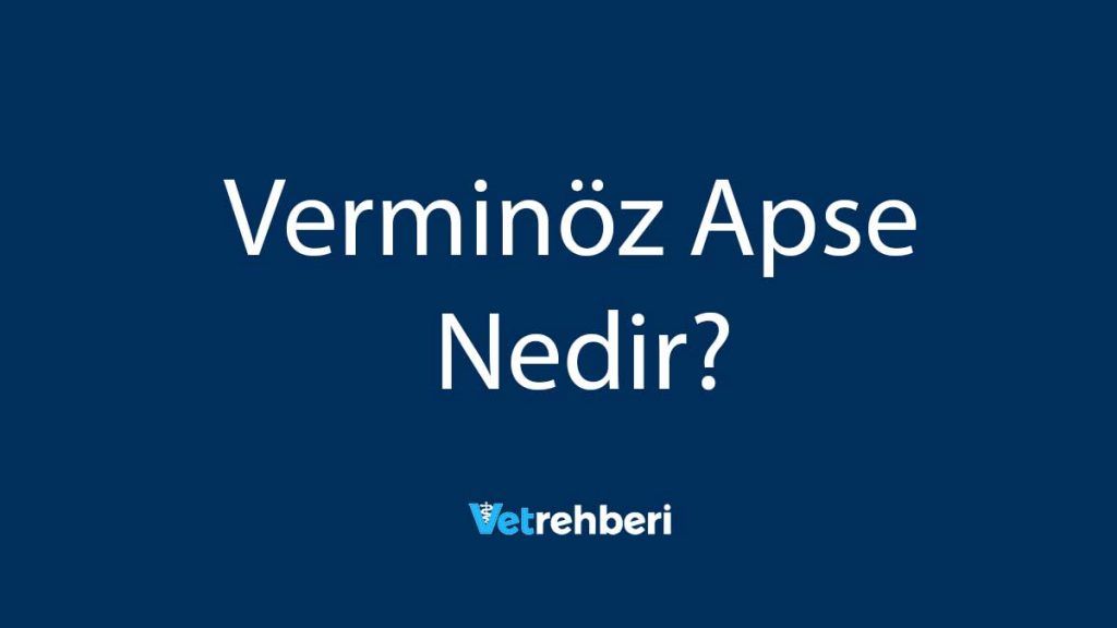 Verminöz Apse Nedir?