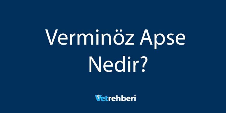 Verminöz Apse Nedir?