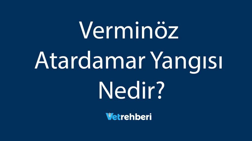 Verminöz Atardamar Yangısı Nedir?