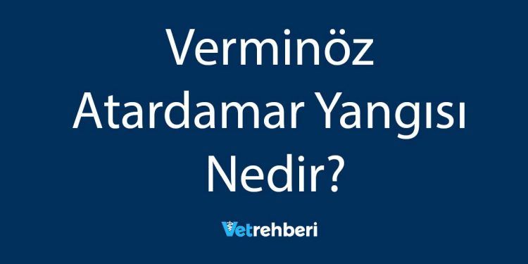 Verminöz Atardamar Yangısı Nedir?