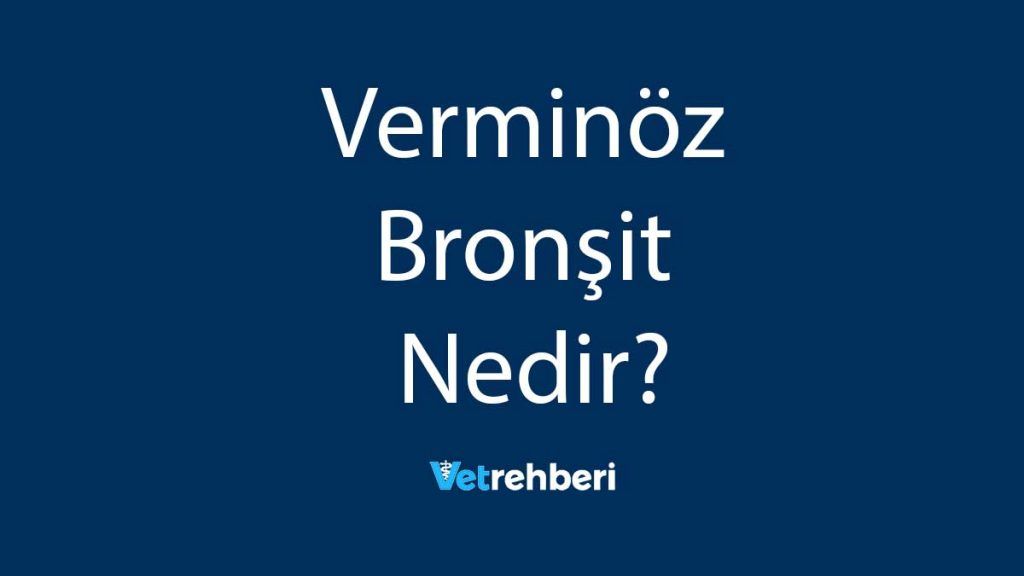 Verminöz Bronşit Nedir?