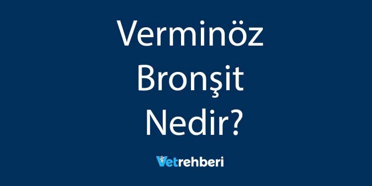 Verminöz Bronşit Nedir?